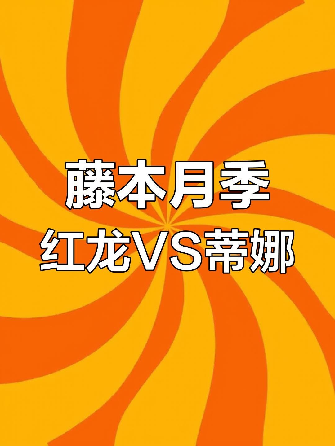 蒂娜月季和紅龍選哪個