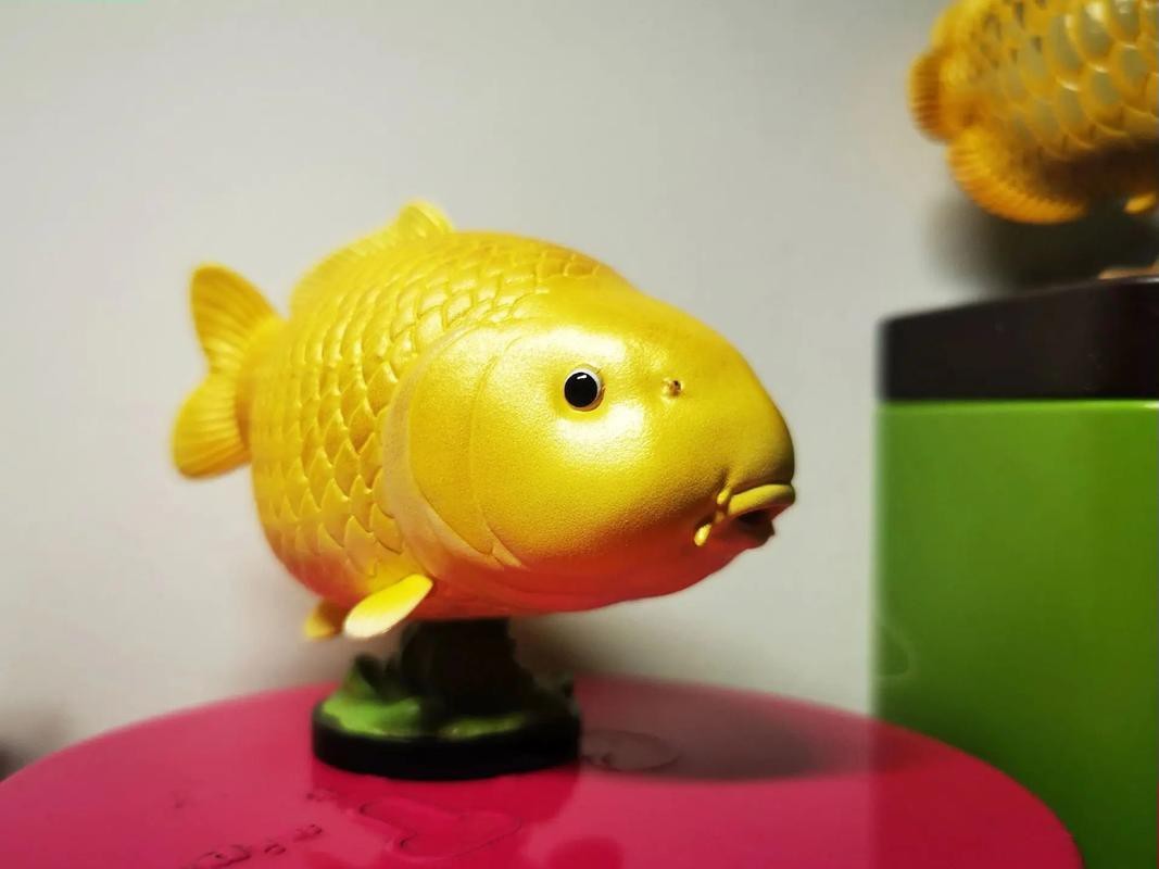 金色龍魚圖片高清壁紙