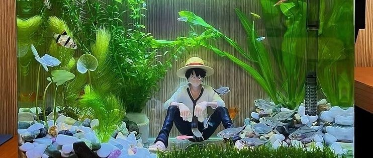 龍魚缸水位不宜過高的原因(為什么龍魚缸的水位不宜過高) 龍魚百科 第4張 龍魚缸水位不宜過高的原因(為什么龍魚缸的水位不宜過高) 龍魚缸水位不宜過高的原因(為什么龍魚缸的水位不宜過高) 龍魚百科 第4張