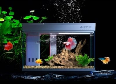 小米畫法幾何魚缸app下載：畫法幾何魚缸app下載