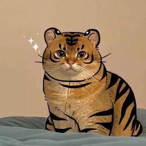 虎鯨VS抹香鯨