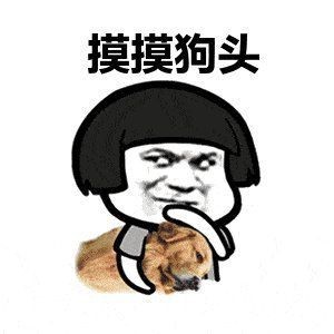 狗頭魚是河豚的一種嗎 狗頭魚是河豚的一種嗎 龍魚論壇 第1張