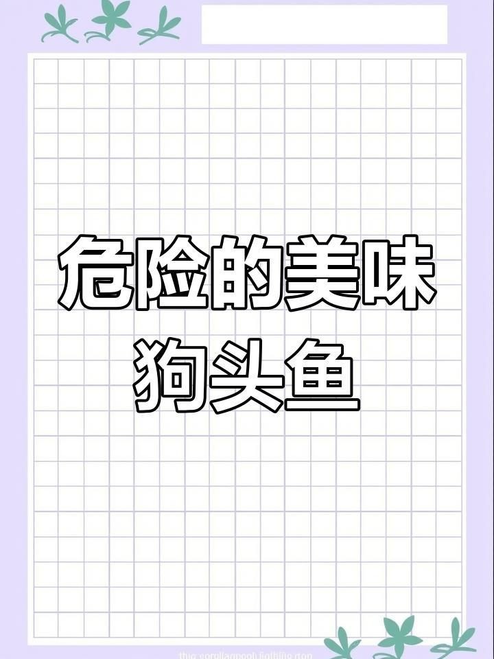 狗頭魚是河豚的一種嗎 狗頭魚是河豚的一種嗎 龍魚論壇 第8張