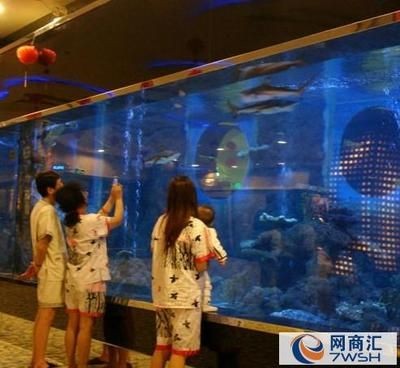 選購海鮮市場魚缸需要注意哪些問題？：海鮮市場魚缸的優(yōu)勢
