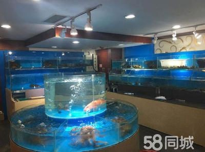 選購海鮮市場魚缸需要注意哪些問題？：海鮮市場魚缸的優(yōu)勢