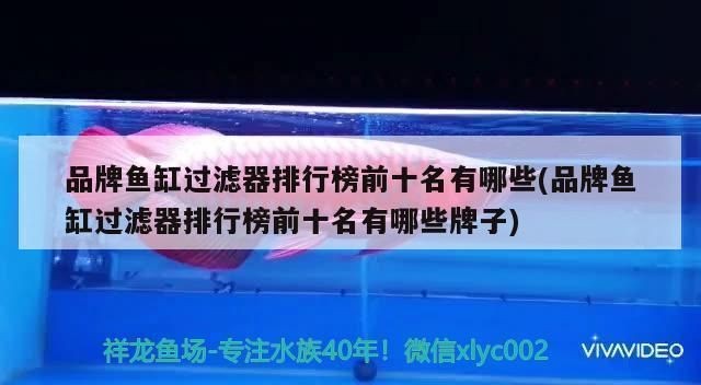 品牌魚缸過濾器排名榜：品牌魚缸過濾器品牌排名榜涵蓋了市場上最受歡迎的幾個品牌