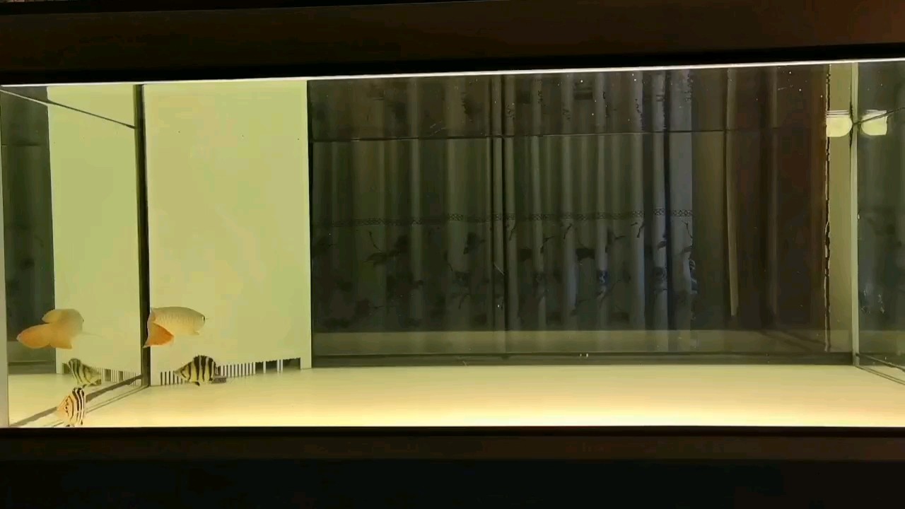 簡單好！