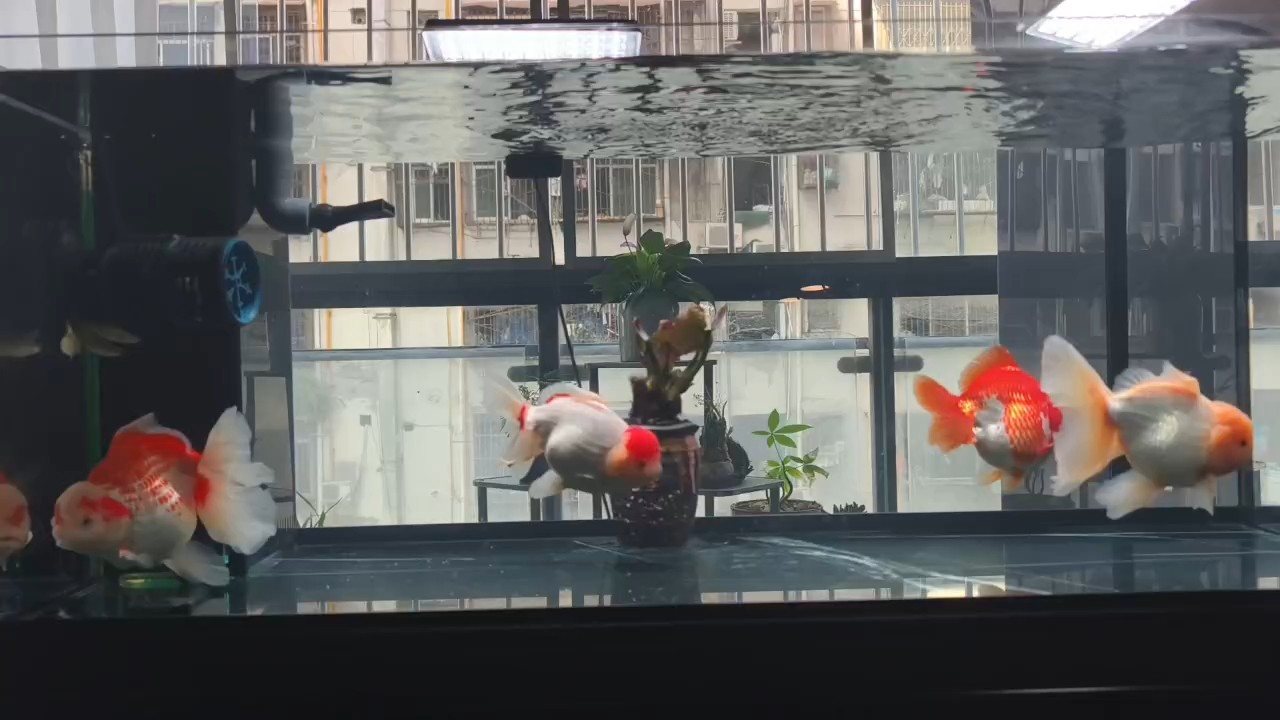 好多年不發帖了