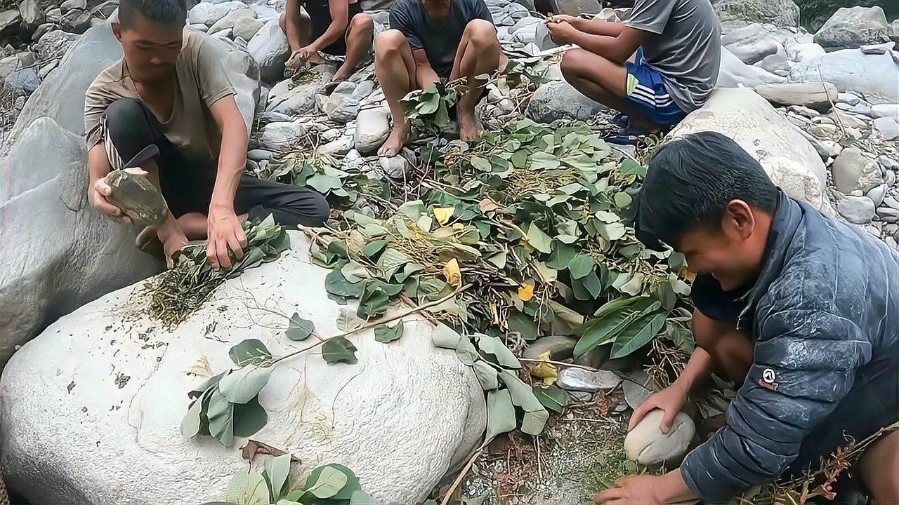 龍魚掉眼怎么手術用的什么麻藥 龍魚掉眼怎么手術用的什么麻藥 龍魚百科 第5張