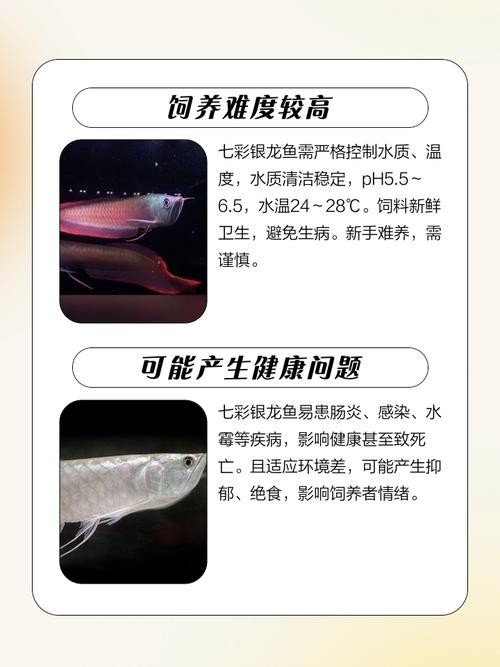 銀龍魚最佳混養方法圖解 銀龍魚最佳混養方法圖解 龍魚百科 第36張