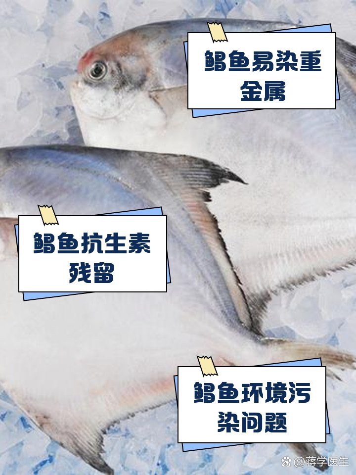 秋刀魚和青占魚的區別