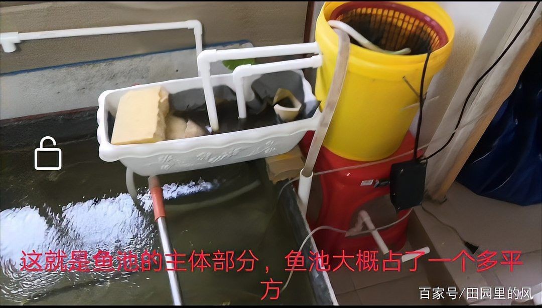 高密度養殖魚池水循環系統 高密度養殖魚池水循環系統 龍魚論壇 第3張