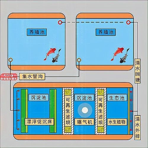 高密度養殖魚池水循環系統 高密度養殖魚池水循環系統 龍魚論壇 第1張