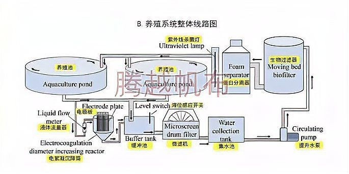 高密度養殖魚池水循環系統 高密度養殖魚池水循環系統 龍魚論壇 第7張