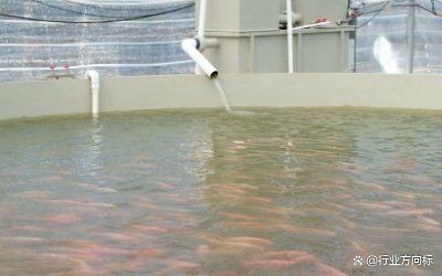 高密度養殖魚池水循環系統 高密度養殖魚池水循環系統 龍魚論壇 第11張