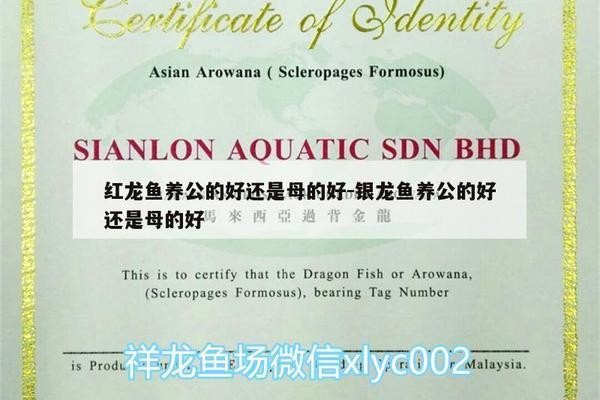 蘇州瓦泊特智能科技有限公司（蘇州瓦泊特智能科技有限公司怎么樣）