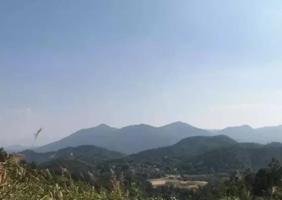龍形地風水大富大貴 龍形地風水大富大貴 龍魚論壇 第2張