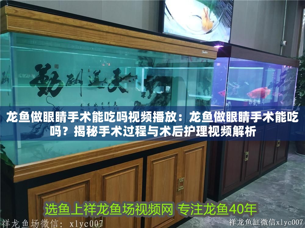 龍魚做眼睛手術能吃嗎視頻播放：龍魚做眼睛手術能吃嗎？揭秘手術過程與術后護理視頻解析
