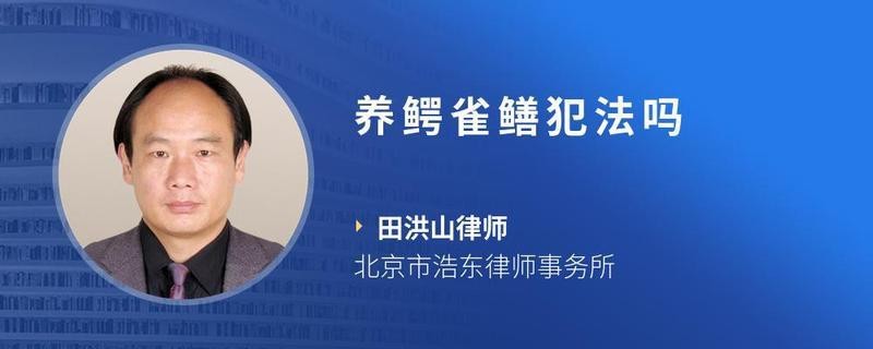 鱷雀鱔家養一只犯法嗎