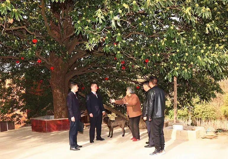 鱷雀鱔家養一只犯法嗎