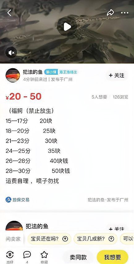 鱷雀鱔家養一只犯法嗎