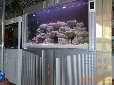 上海大型魚缸定制 上海大型魚缸定制 魚缸百科 第4張