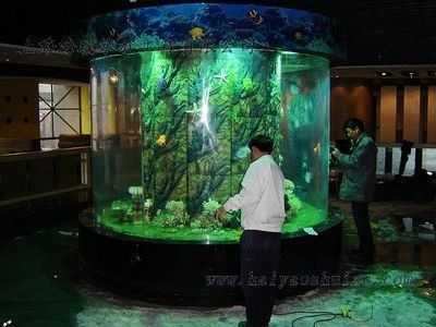 上海大型魚缸定制 上海大型魚缸定制 魚缸百科 第3張