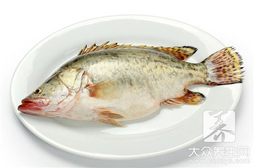 飛魚可以吃嗎