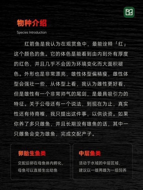 紅箭魚臨產肛門圖片