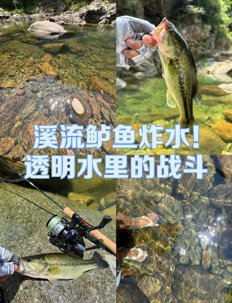 什么魚喜歡炸水