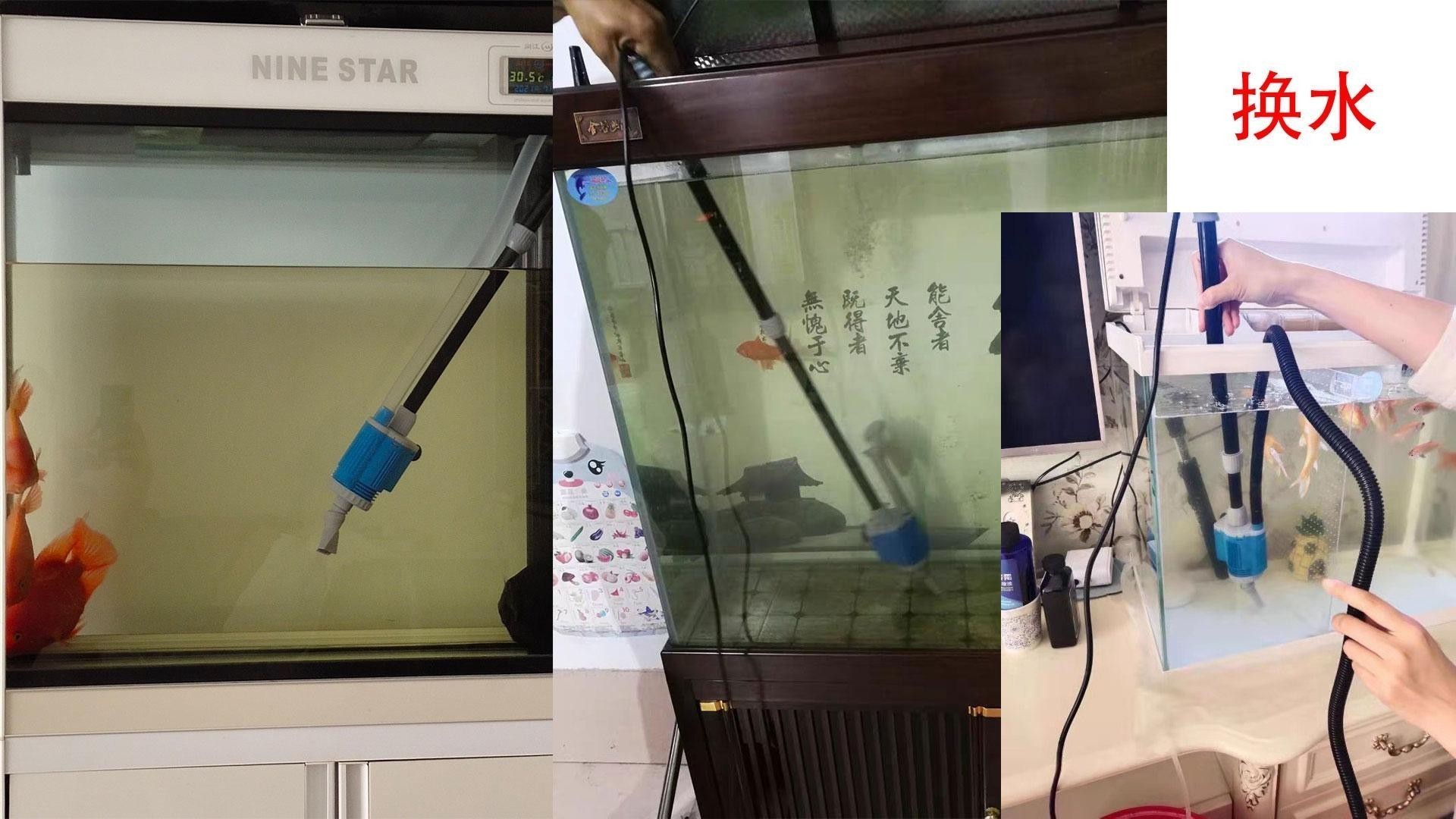 我的虎魚(yú)真菌感染了要怎么處理 錫林浩特市星佑魚(yú)缸店 全國(guó)水族館企業(yè)名錄 錫林浩特市星佑魚(yú)缸店 錫林浩特市星佑魚(yú)缸店 全國(guó)水族館企業(yè)名錄