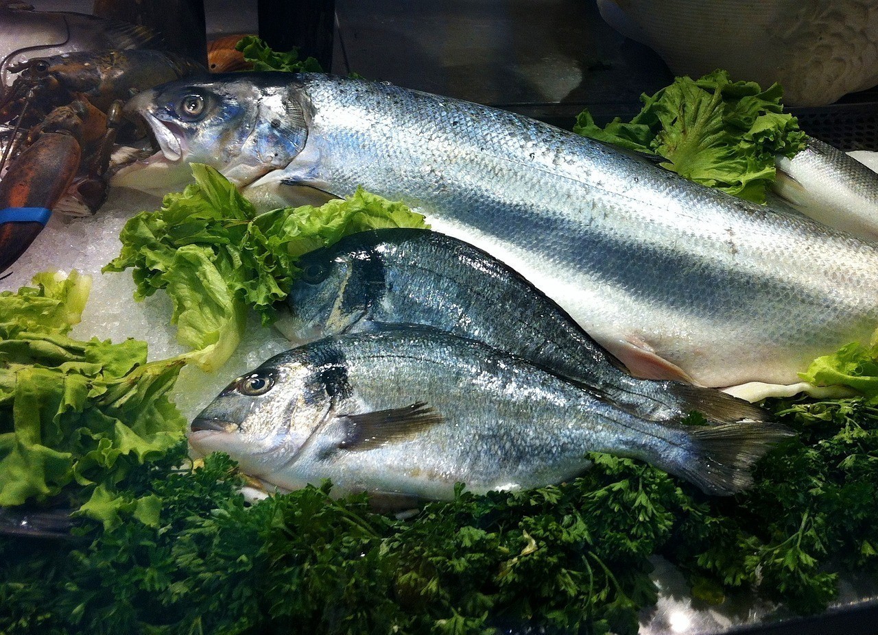 哈爾濱市呼蘭區(qū)艷華花魚(yú)店