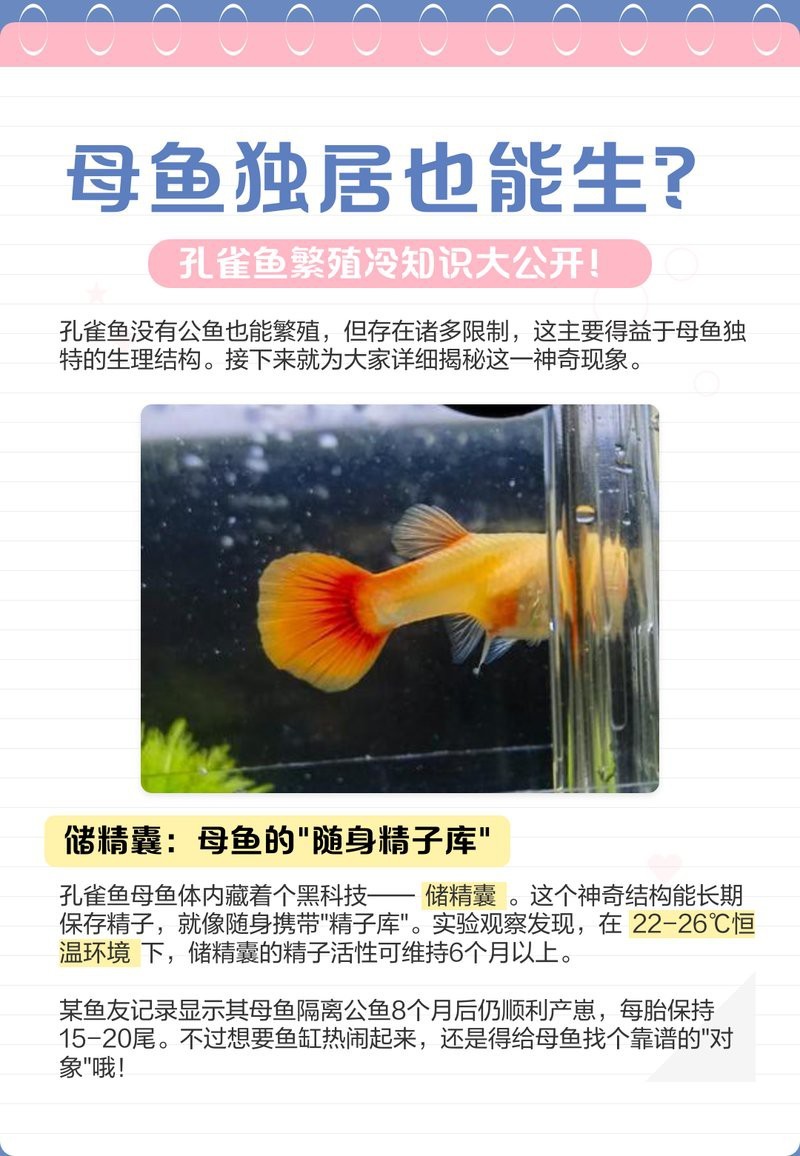 單獨一條母魚會繁殖嗎