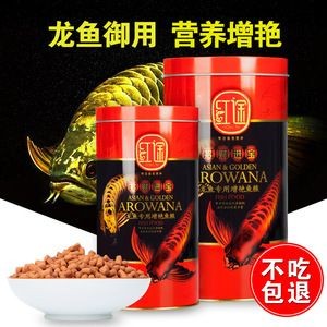 龍魚的最佳溫度：龍魚最佳水溫是多少