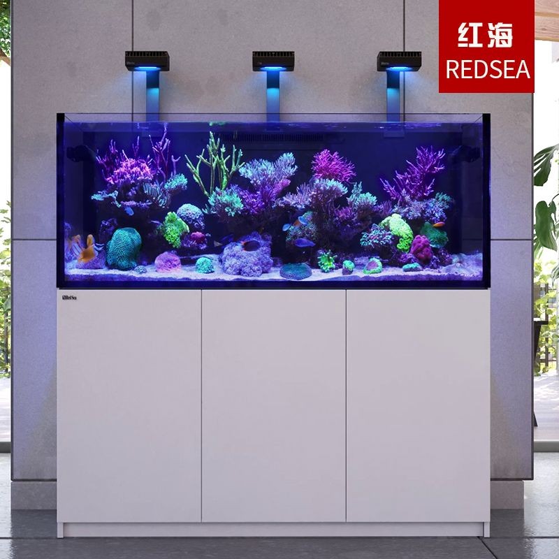 紅海魚缸造景需要考慮到紅海魚缸造景需要考慮到魚缸造景的要求：紅海魚缸的造景技巧 紅海魚缸造景需要考慮到紅海魚缸造景需要考慮到魚缸造景的要求：紅海魚缸的造景技巧 魚缸百科 第1張