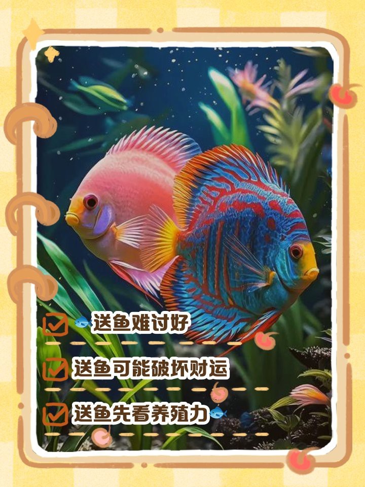 7條龍魚為何不能隨便送 7條龍魚為何不能隨便送 龍魚論壇 第7張