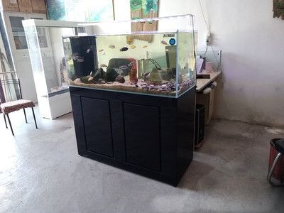 廣州大型魚缸定做價格多少錢一個(廣州大型魚缸定做價格范圍) 魚缸百科 第1張 廣州大型魚缸定做價格多少錢一個(廣州大型魚缸定做價格范圍) 廣州大型魚缸定做價格多少錢一個(廣州大型魚缸定做價格范圍) 魚缸百科 第1張