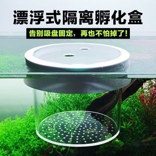 魚缸隔離盒是干什么的:魚缸隔離盒主要用于保護魚類 魚缸百科 第3張 魚缸隔離盒是干什么的:魚缸隔離盒主要用于保護魚類 魚缸隔離盒是干什么的:魚缸隔離盒主要用于保護魚類 魚缸百科 第3張