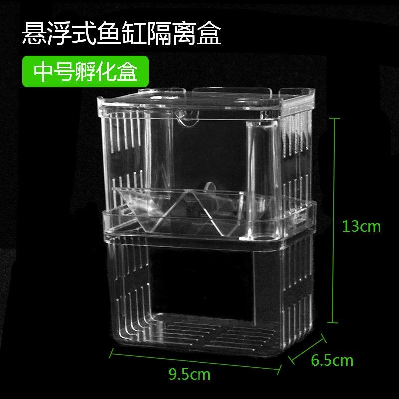 魚缸隔離盒是干什么的:魚缸隔離盒主要用于保護魚類 魚缸百科 第4張 魚缸隔離盒是干什么的:魚缸隔離盒主要用于保護魚類 魚缸隔離盒是干什么的:魚缸隔離盒主要用于保護魚類 魚缸百科 第4張
