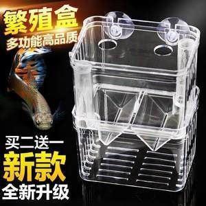 魚缸隔離盒是干什么的:魚缸隔離盒主要用于保護魚類 魚缸百科 第5張 魚缸隔離盒是干什么的:魚缸隔離盒主要用于保護魚類 魚缸隔離盒是干什么的:魚缸隔離盒主要用于保護魚類 魚缸百科 第5張