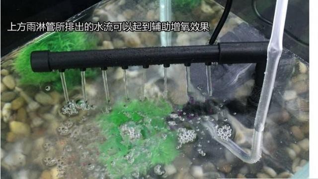 通遼市科爾沁區科爾沁大街廣源水族店（通遼水族館）