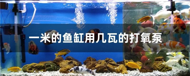 一米的魚缸用幾瓦的打氧泵 一米的魚缸用幾瓦的打氧泵 全國水族館企業(yè)名錄