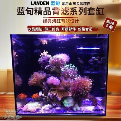 藍甸魚缸怎么樣好用嗎：不同類型的藍甸魚缸優(yōu)缺點 藍甸魚缸怎么樣好用嗎：不同類型的藍甸魚缸優(yōu)缺點 魚缸百科 第3張
