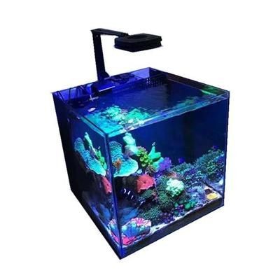 藍甸魚缸怎么樣好用嗎：不同類型的藍甸魚缸優(yōu)缺點 藍甸魚缸怎么樣好用嗎：不同類型的藍甸魚缸優(yōu)缺點 魚缸百科 第5張