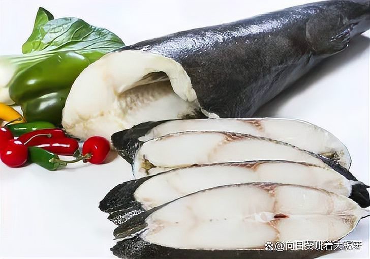 十大海魚排名 十大海魚排名 龍魚論壇 第4張