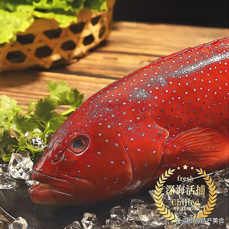 十大海魚排名 十大海魚排名 龍魚論壇 第3張