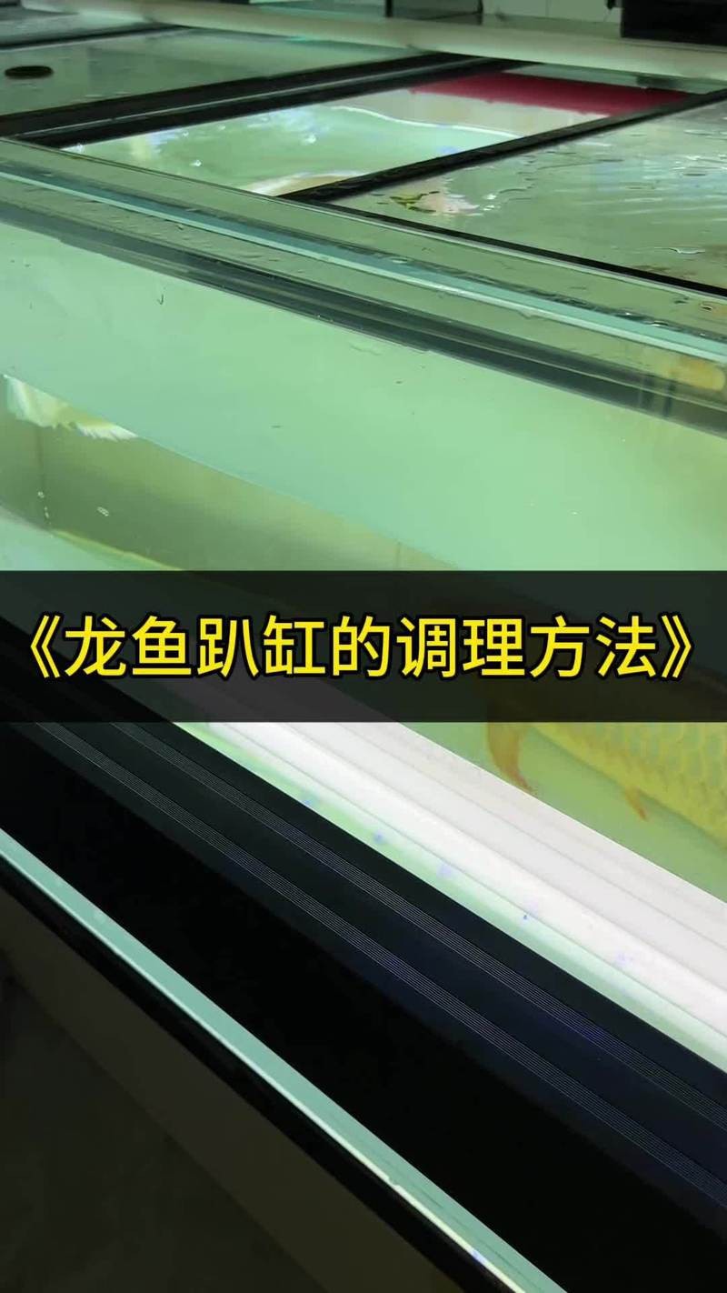 龍魚趴缸最簡單三個步驟 龍魚趴缸最簡單三個步驟 龍魚論壇 第5張