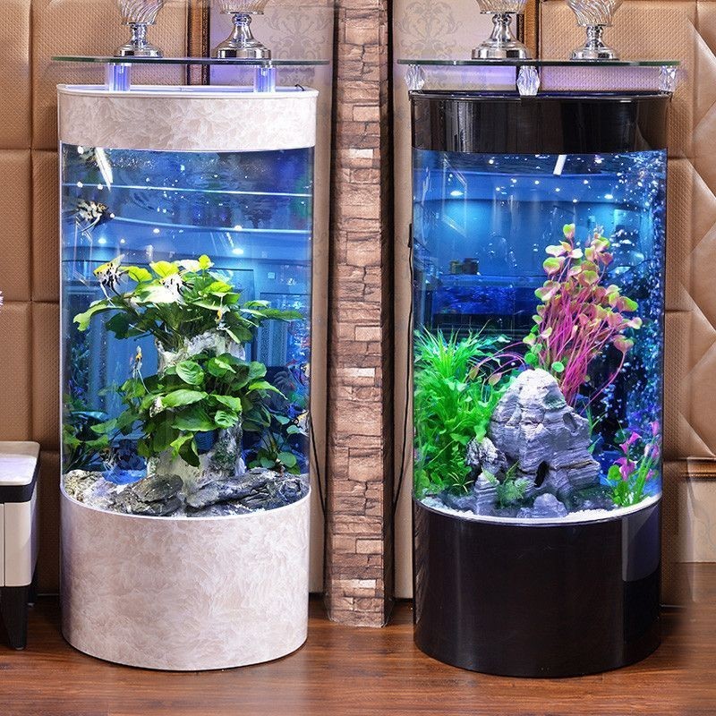 隔斷魚缸造景效果圖隔斷魚缸造景效果圖：隔斷魚缸造景效果圖是一種結合了觀賞性和功能性于一體的室內裝飾方案 隔斷魚缸造景效果圖隔斷魚缸造景效果圖：隔斷魚缸造景效果圖是一種結合了觀賞性和功能性于一體的室內裝飾方案 魚缸百科 第3張