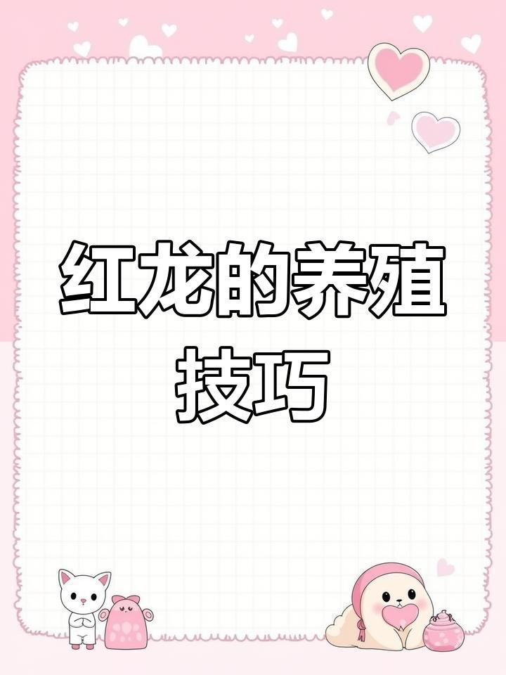 紅龍魚最忌三種品牌