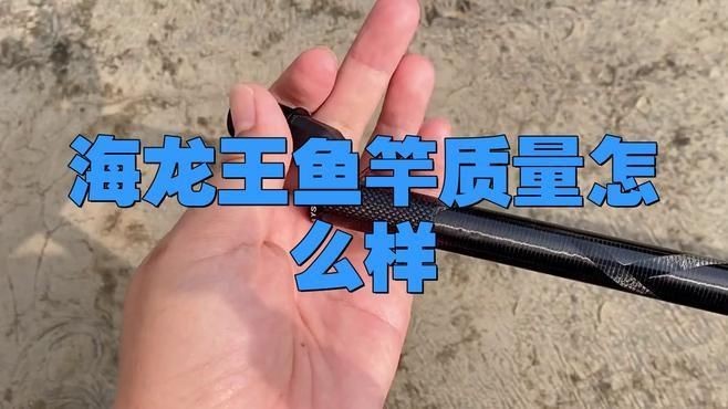 海龍王漁具怎么樣